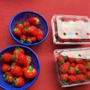 벧엘농장2 이미지