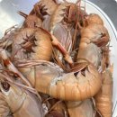 보람수산 이미지