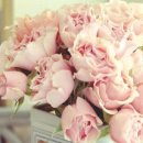 조아헤어 이미지