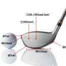 준골프클럽 이미지