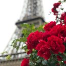 개운한의원 이미지