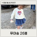 푸아송 | 푸아송 사이즈 팁 포함 26봄 내돈내산 후기