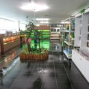 장풍이닷컴 이미지