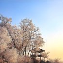 여주-0689 티스토리