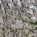 세븐일레븐 평택은혜로점 이미지