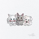 챙스딜라잇