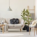 식물 인테리어 이미지