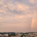 씨유펫 불당점 이미지