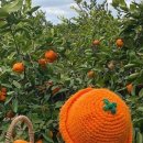 오길농장 이미지