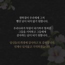 블랙벨트태권도 이미지