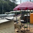 송산 농장 이미지