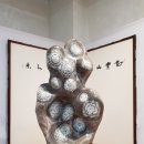 청송꽃돌 이미지