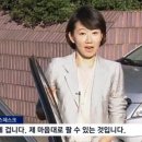 백호좌대 이미지