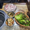 뒷골면옥 | 선바위역 꼬들살 맛집, 뒷골면옥 솔직 리뷰(100% 내돈내산)