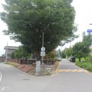 조성신도비 이미지