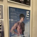 테리온 휘트니스 | [당산헬스장] 테리온휘트니스 당산점｜채광 맛집! 가격 및 PT 후기