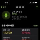 Enrich GYM 이미지