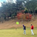 매직크린월드 | 구로구 골프레슨 전문 이기종프로배 전국 아마추어골프대회 세 번째 라운딩후기