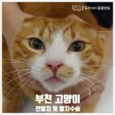 중동우리아이동물병원 이미지