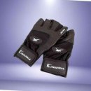 워너휘트니스 이미지