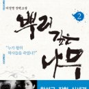 뿌리깊은나무 이미지