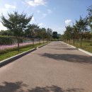 낙동강체육공원 야구장화장실 이미지