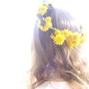 영 모 당 이미지