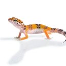 아우름 동물병원 이미지