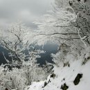 12.31 덕유산 100명산4위 키가 큰 나무가 거의 없는 장쾌한 설원 능선은 눈과 설화, 상고대가 어우러진 겨울 종주산행의 백미이다. 눈산행 아이젠 스패치 필수 이미지