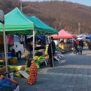 쇠바우골탄광문화장터 이미지