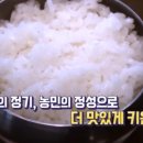 농협양곡(주)무안통합미곡종합처리장 이미지