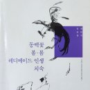 한국지식인재원 | #146, 채만식, 『레디메이드 인생』, 『명일』, 『치숙』, 『논 이야기』, 『도야지』, 20세기 한국소설 05