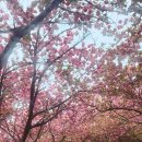완산(완주) 이미지