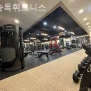 머슬톡 휘트니스 이미지