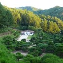 소나무정원 이미지