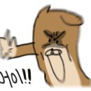 25시 동물병원 이미지