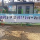 고고하개 네이버블로그