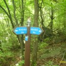 복희민박 이미지