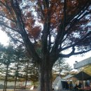 청주키즈캠핑장 이미지