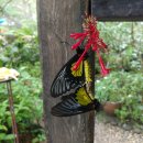 전일농장 이미지