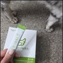 나눔건강 | 편안한 나눔효소 내돈내산 솔직 후기, 소화와 장 건강 변화 직접 체감