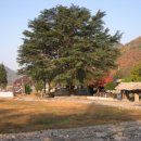 한우산아래