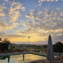 바오밥나무 | (마다가스카르 여행 5일차) 쏟아지는 은하수와 바오밥 나무를 보다.