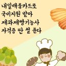 베이커리카페 전문창업반 이미지