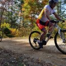 팀 매드 이미지