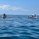 팀사나이 | 소류구 스노쿨링 투어 운이 없는 카누 사나이