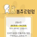 봉쥬르멍멍 이미지