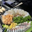 월성횟집 | 대구 월성동 횟집 바다와 솔직 후기 생새우회 고등어회 맛집