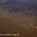 여행의 기술 이미지