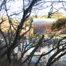 마하목장 이미지